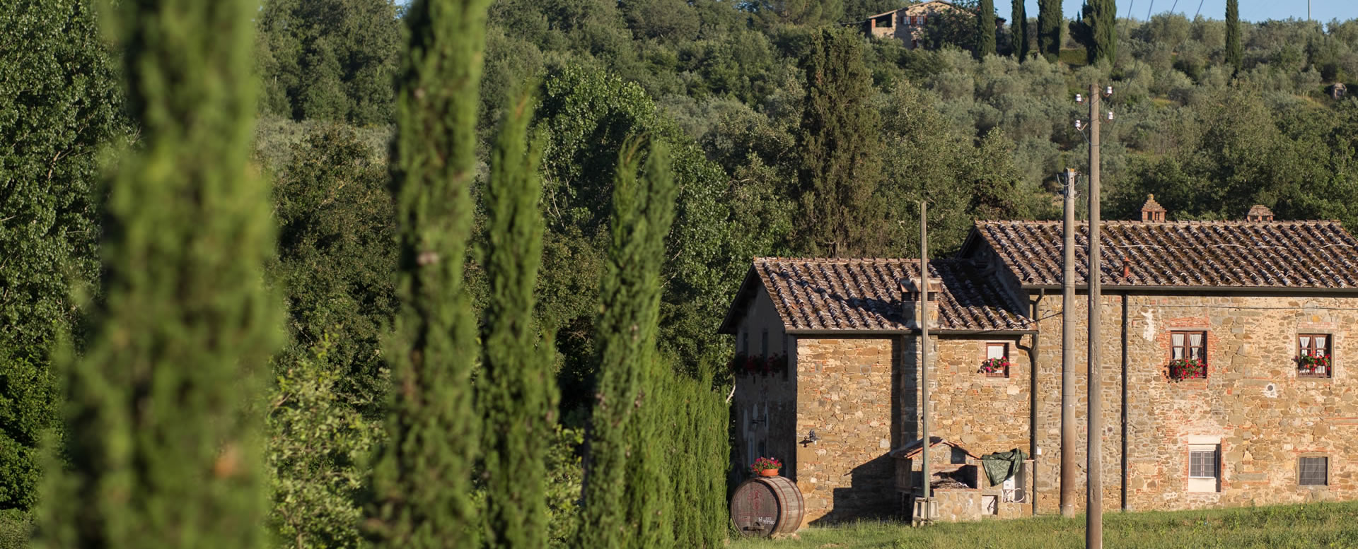 Agriturismo Arezzo 